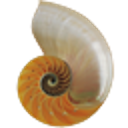 Yoyoa